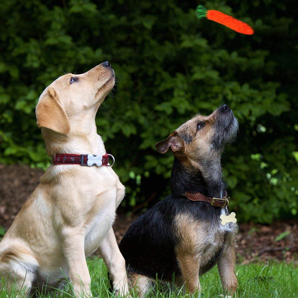 Ciaoed Hundespielzeug für Aggressive Hundekauen-Spielwarengeschenke Interessanter Hund wechselwirkendes Spielwaren für Kleine mittlere große