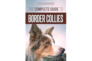 The Complete Guide to Border Collies: Training, teaching, feeding, raising, and loving your new Border Collie puppy