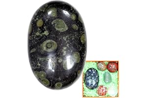 1PC Kambaba (Crocodile) Jasper Oval Worry Stone 2.4", STINO Real Crystal Palm Stone for Anxitey, Crocodile Pocket Healing Crystal (Crocodile)