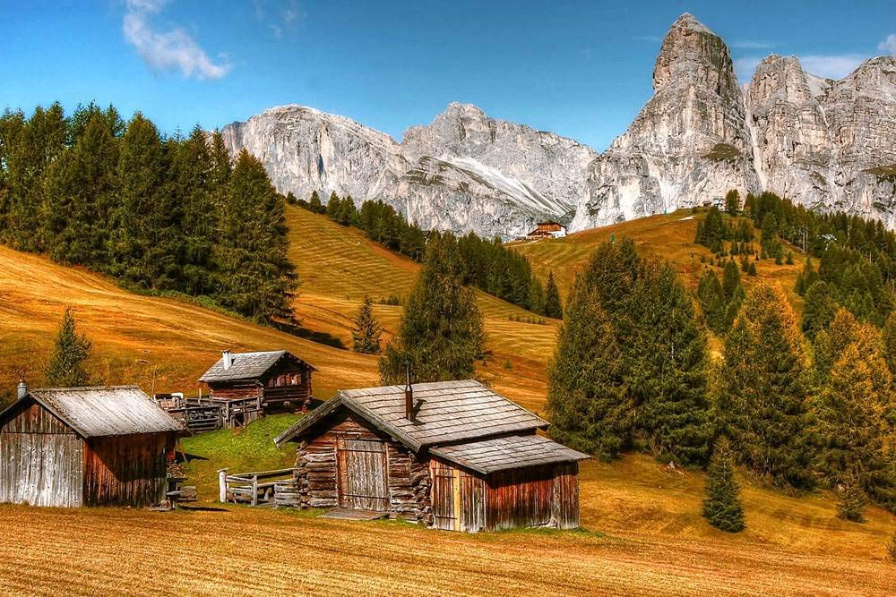 Amazon Com R Maltto Cabins Conifers Countryside Art Print