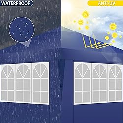 TOOLUCK 10x10 Pop Up Canopy Tent with 4 Sidewalls
