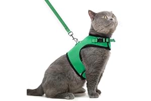 PUPTECK Soft Mesh Cat Vest Harness and Leash Set Puppy Padded Pet Harnesses Escape Proof for Cats Small Dogs Rabbits Bunny
