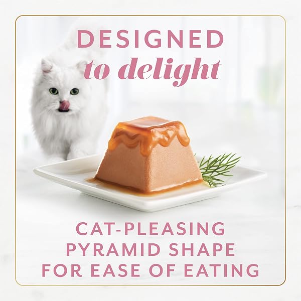 FANCY FEAST GEMS PATE CAT FOOD MOUSSE WITH SALMON AND A HALO OF SAVORY GRAVY CAT FOOD – (PACK OF 8) OZ. BOXES