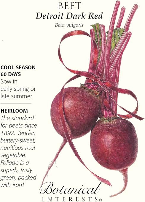 Amazon Com Detroit Dark Red Beet Seeds 4 Grams Botanical Interests Beet Plants Garden Outdoor