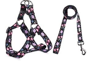 QQPETS Dog Harness Leash Set Adjustable Heavy Duty No Pull Halter Harnesses for Small Medium Large Breed Dogs Back Clip Anti-Twist Perfect for Walking