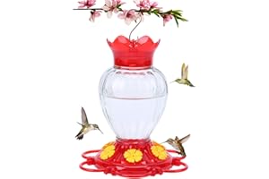 TOP XIAN Hummingbird Feeder 20 oz, Glass Hanging Hummingbird Nectar with Feeder 6 Feeding Mouthpieces,Wild Bird Feeder Containing Ant Moat,Outdoor Garden Decor Hummingbird (Glass, Clear 1pc)