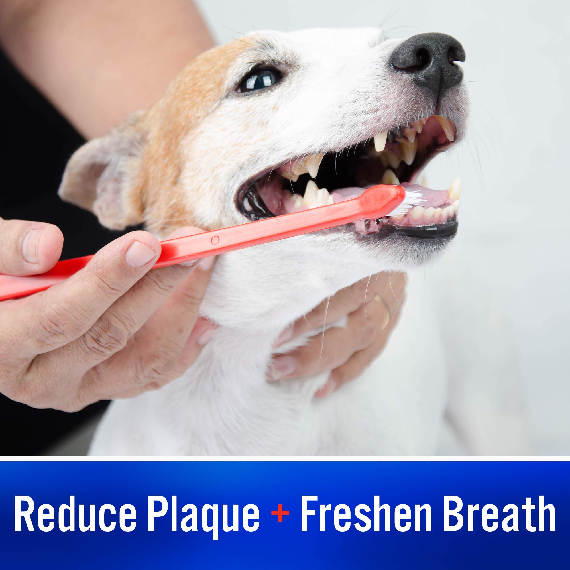 Virbac CET Enzymatic Toothpaste Eliminates Bad Breath by Removing