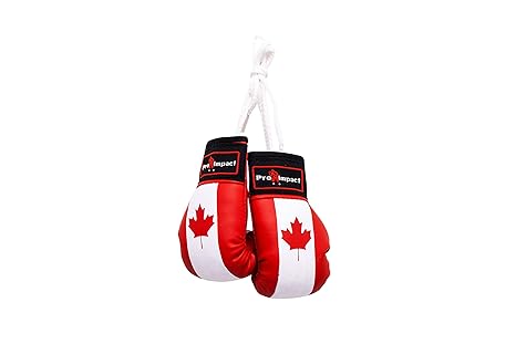 canadian boxing gloves