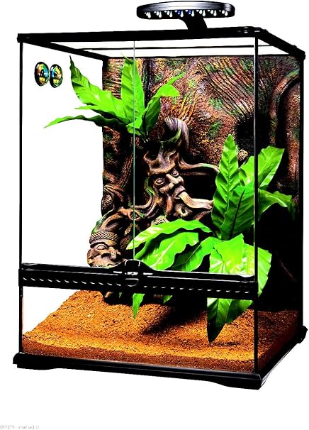 exo terra crested gecko kit large