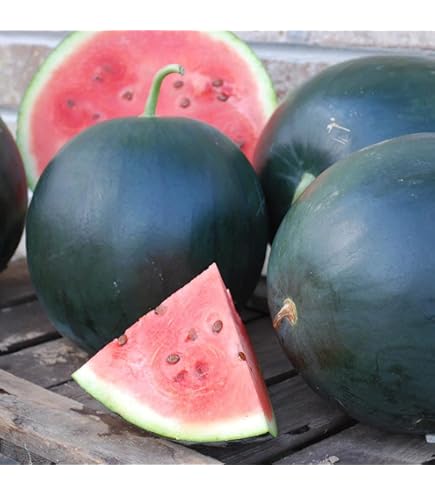 watermelon様へ STANLEY 40 oz. Quencher H2.0 FlowState Tumbler - Watermelon
