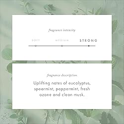 ScentAir Whisper Home Monthly Plug-in