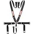 RaceQuip 741001RQP 5 Point Harness Sportsman Camlock SFI 16.1 Pull Down Adjust Bolt-On/Wrap Around Black