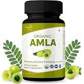 ORGANIC SPREE Amla 120 Tablets - Rich in Vitamin C, Supports Immunity, Hair &amp; Skin Wellness* - Indian Gooseberry (Phyllanthus emblica) - 60 Days Supply - USDA Organic, GMP, HACCP Certified