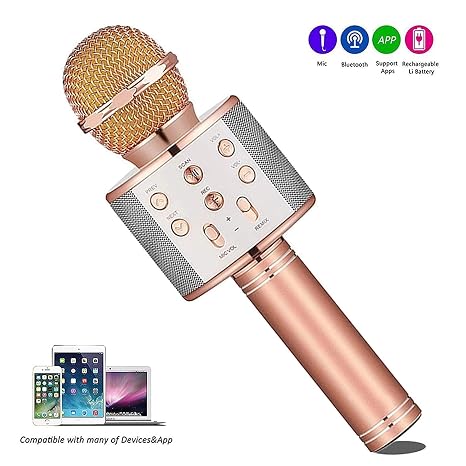 Microfono Karaoke Bluetooth con Altoparlante Microfono Wireless Karaoke  Bambini batteria AUX Portatile 4.1 wireless Karaoke per PC iPhone  smartphone Android laptop iPad Strumenti Musicali Wireless  outlookplanningdevelopment.com.au