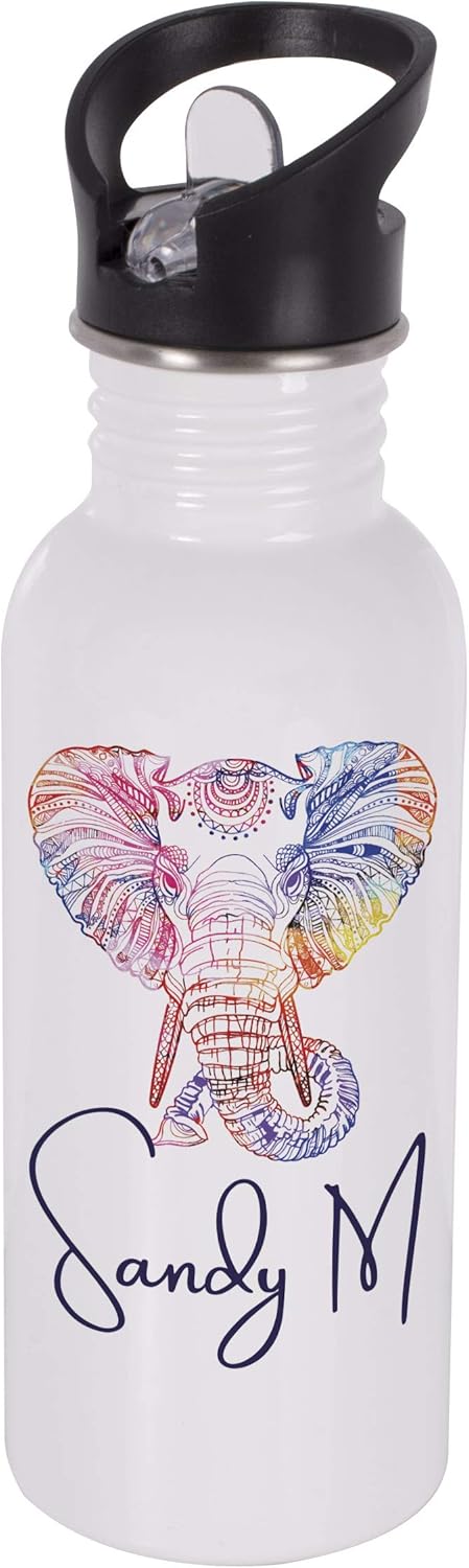 Best water bottle insulated dishwasher safe
