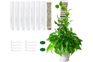 LEHORRA 8 Pcs 24 Inch Plastic Moss Pole for Plants Monstera, Stackable Plant Support, Self-Watering Moss Sticks for Indoor Climbing Plants Work with Sphagnum Moss or Other Soil, Helping Plants Grow Upwards