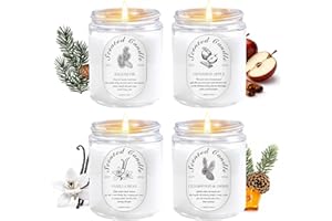 LOSNYA Winter Candle Gift Set, 4 Pack 28oz Soy Wax Scented Candles for Home – Cinnamon Apple, Balsam Fir, Vanilla Bean, Cedarwood & Amber – Cozy Aromatherapy Candles for Christmas, Holiday & Home Decor Gifts