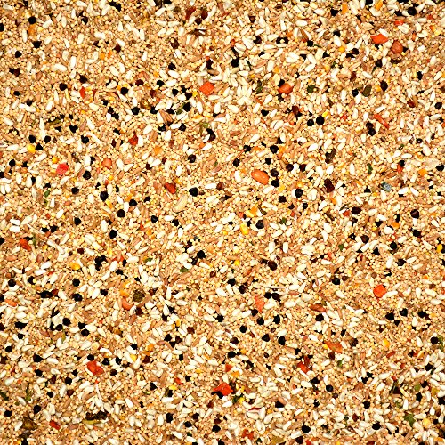 Volkman Seed Avian Science Super Cockatiel No Sunflower 4lb