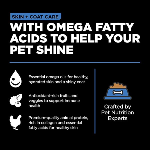 GO! SOLUTIONS SKIN + COAT CARE CHICKEN DRY DOG FOOD WITH GRAINS, HEALTHY KIBBLE WITH OMEGA-3S & 6S FOR SOFT, SHINY FUR, FOR PUPPIES, ADULTS, & SENIORS, 3.5 LB BAG