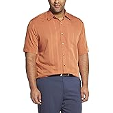 Van Heusen Men's Big and Tall Air Short Sleeve Button Down Poly Rayon Stripe Shirt