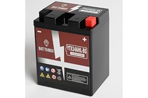 Battanux YTX14AHL-BS Battery & Motorcycle Battery, Sealed SLA/AGM 12V12Ah ATV/UTV/Snowmoble/Motor bike Battery Maintenance Free & No tools for installation & Advanced Technology & Environmental