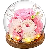 Forever Flowers Gifts for Mom .Birthday Gifts for Women, Preserved Flowers in Glass Fresh Flowers for Delivery Prime Pink Roses for Grandma Sister Daughter