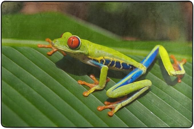Jpopo Agalychnis Callidryas - Alfombra de entrada de poliéster