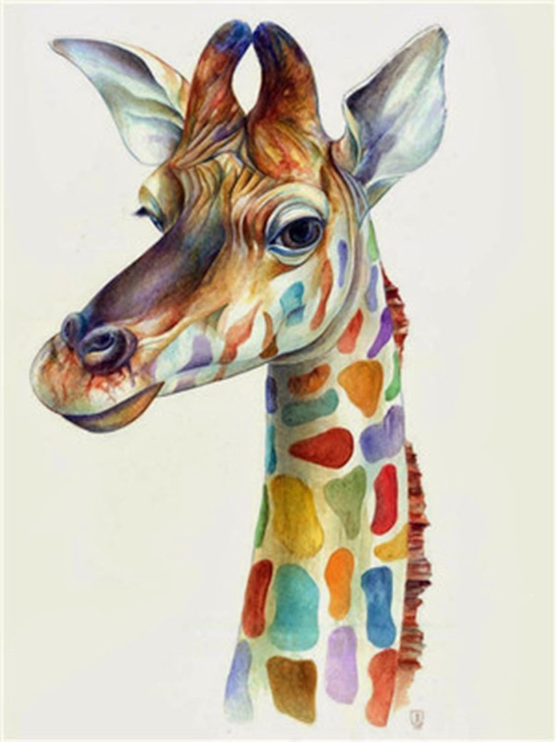 Shukqueen Paint by Number, DIY Oil Painting for Adults Beginner's, 16X20 Inch, Frameless, Giraffe, Frameless,Just Canvas