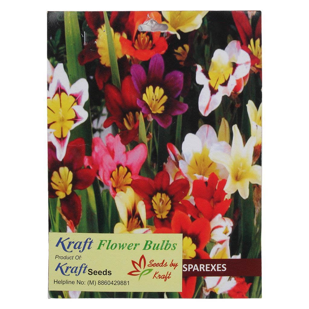 Kraft Seeds Sparexes Or Sparaxis Flower Bulb Mix Pack Of 6 Amazon In Garden Outdoors