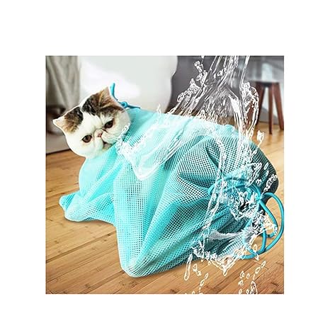 Malla para gatos | Todo gatos