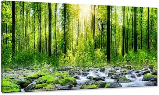 5 Panels Forest Green Trees Canvas Art Wall Art Morning Spring Sunrise Landscape Painting Picture Print Giclee Artwork For Home Decoration Eventerservice Com