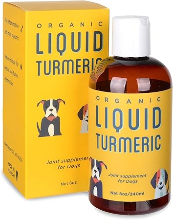 where can i buy turmeric for dogs