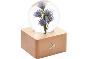 MISS LI GARDEN Forever Flowers Blue Aster in 3D Crystal Ball with LED Lights,Elegant Present for Girlfriend Wife Mom Women Enchanted Birthday Anniversary Wedding Home Décor