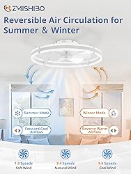 ZMISHIBO 24 Inch Ceiling Fans with Lights and