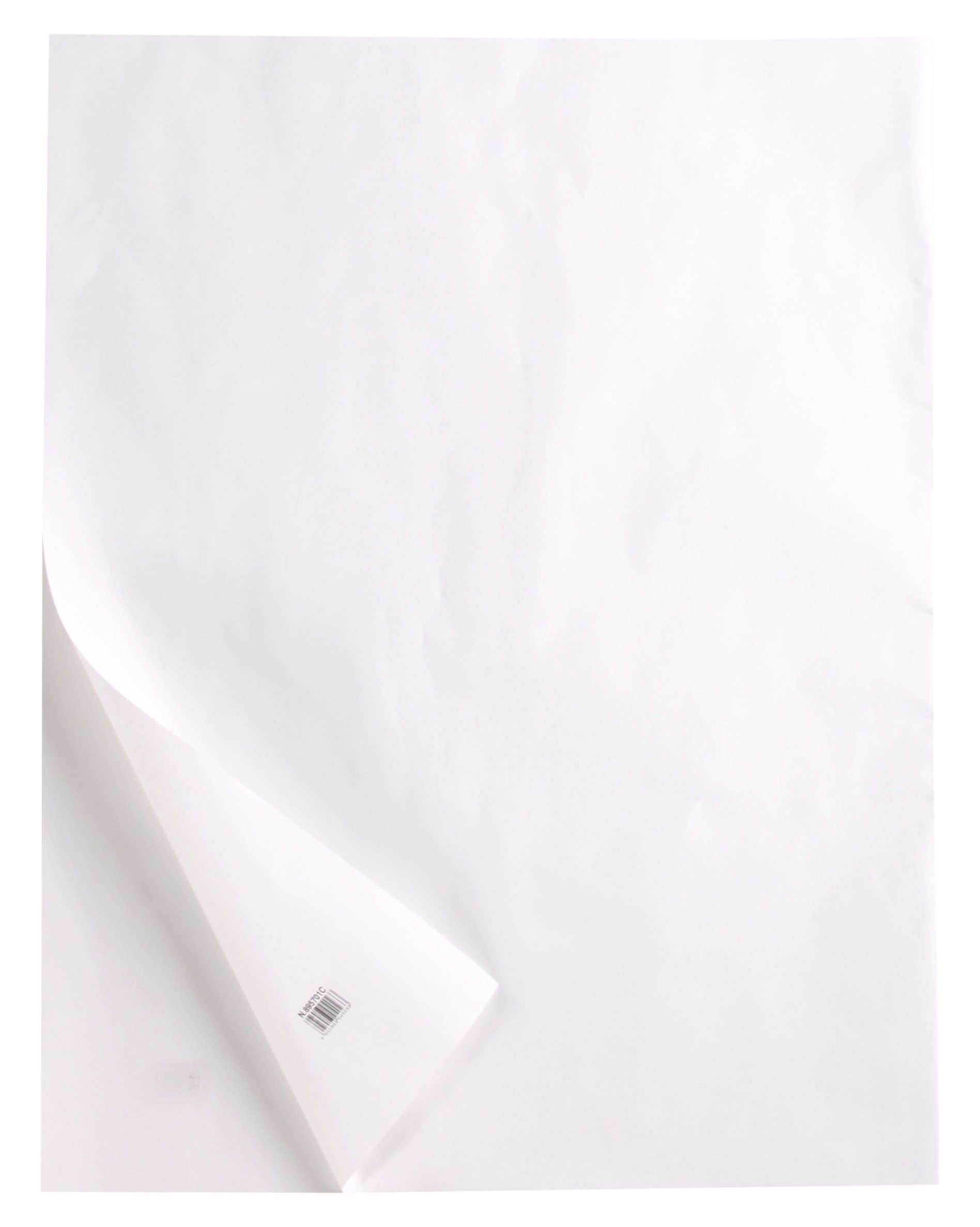 Clairefontaine - Ref 975097C - Tracing Paper Roll (Single Roll) - 0.66x20m Sized, 90/95g, High Transparency, Smooth Surface, Acid Free, Printable - Suitable for Ink, Marker & Pencil