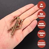 ZWFSDM Color Zinc Plated Carbon Steel Self-Tapping Screws Wood Metal Plastic M4 view 4