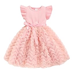 Toddler Girl Tulle Dress Summer Ruffle Sleeveless