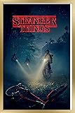 Trends International Netflix Stranger Things