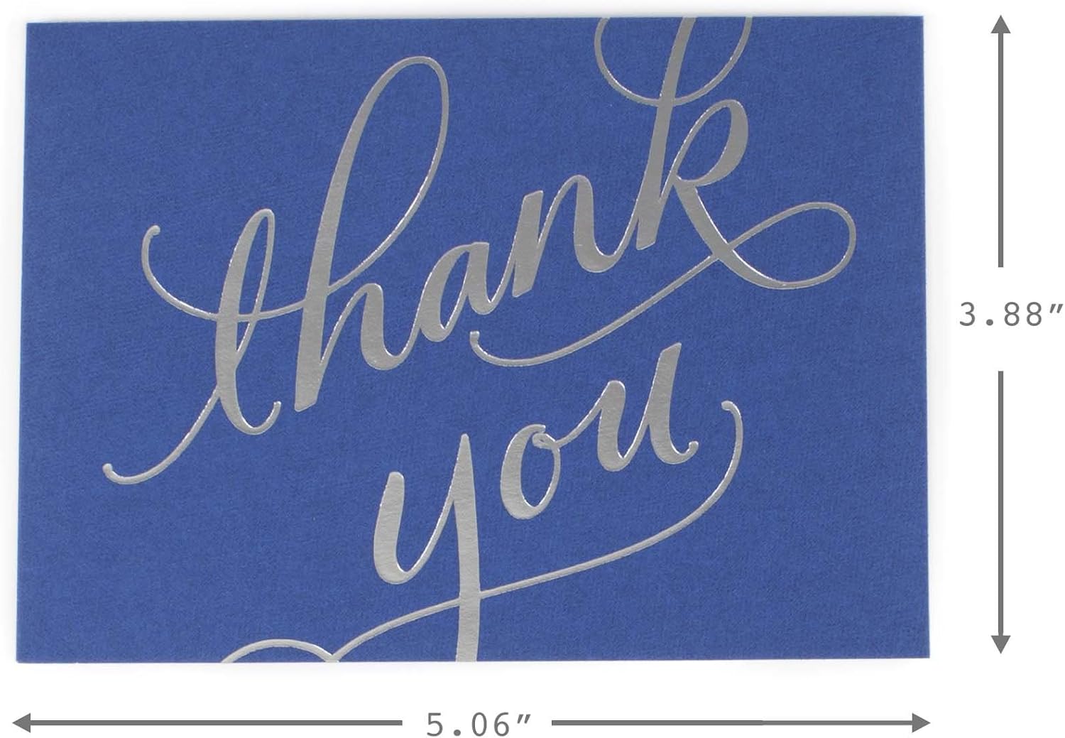 Hallmark Thank You Cards (Silver Foil Script, 40 Thank You Notes and Envelopes): Office Products