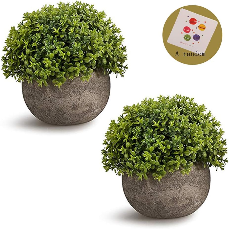 SRK Plastic Mini Artificial Plants Fake Green Colorful