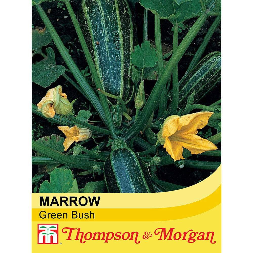 Thompson & Morgan - Vegetables - Marrow Green Bush 4-20 Seed