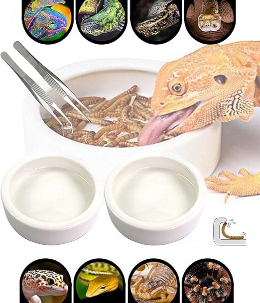 2 Pack Reptile Water Food Bowl, AntiEscape Worm Dish