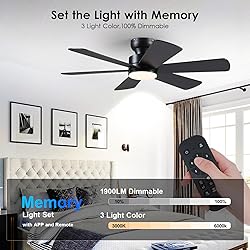 46 inch Ceiling Fans with Lights, Black Ceiling Fan