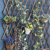 Garden Mile Heavy Duty Wooden Expanding Trellis 180 x 60 cm view 9