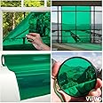 VViViD Transparent Colorful Vinyl Window Tinting Sheets (6ft x 4.9ft, Green)