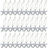 Goodma 30 Pieces Resin Pencil Finger Starfish with Rope for Christmas Tree Hanging Ornaments Beach Theme Wedding Home Decor & DIY Crafts (White)