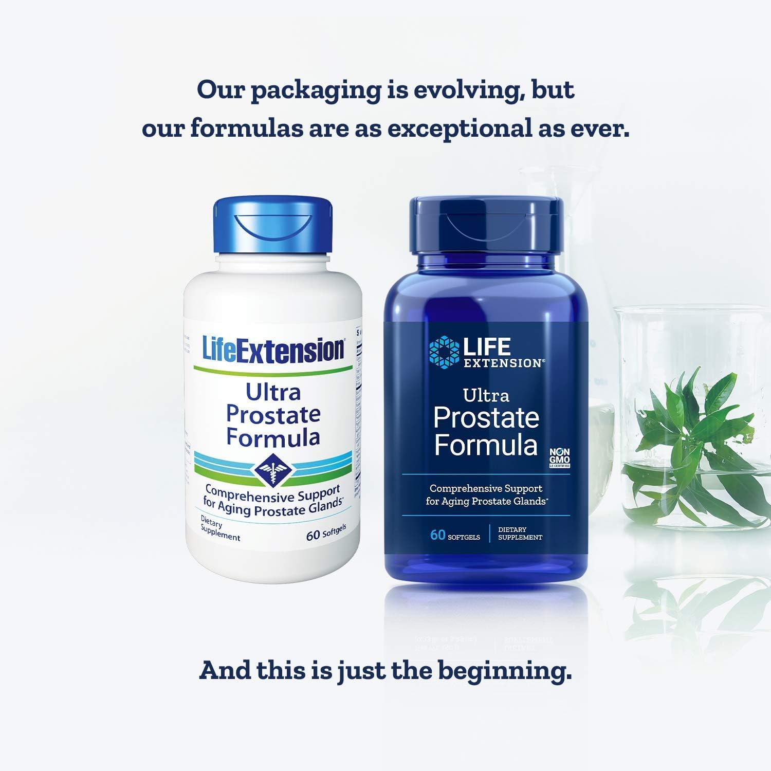 Life Extension Ultra Prostate Softgels, 60 Count (Pack of 2): Health & Personal Care