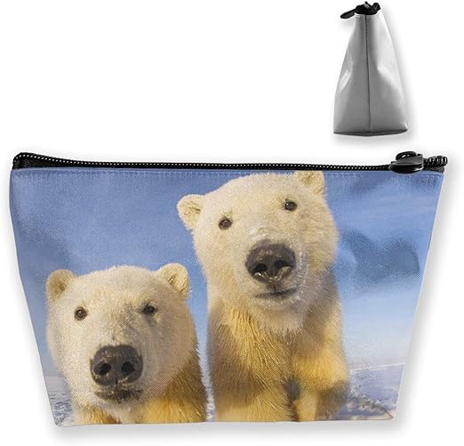 Amazon Co Jp くま 化粧ポーチ メイクポーチ コスメポーチ 化粧品収納 軽い 軽量 防水 出張 旅行も便利 小物入れ 携帯便利 多機能 バッグ 小さな化粧品の袋 Home Kitchen