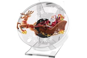 HAVISIKR 3D Hologram Fan, 4.7 Inch 3D Holographic Fan Projector Advertising Display with Cover Picture Spinner and Remote for Business Store Signs, Bar, Halloween,Christmas,Parties (12cm,4G)