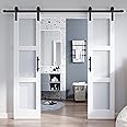 ROYMELO Double 21×84 Inch Glass Barn Door Slab and 7ft Hardware Kit Included, 3 Frosted Glass, LVL Wood Panel Covered with White Water-Proof Scratch-Proof PVC Surface, Simple DIY Assembly